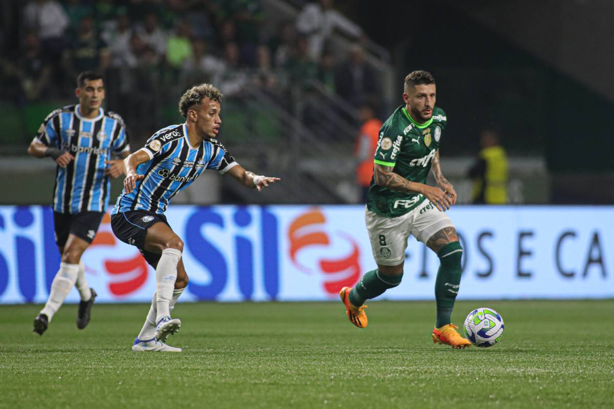 Palmeiras Brasileiro Novibet 